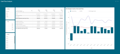 Cash Flow Analysis