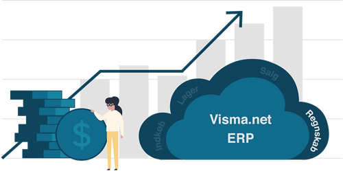 visma-net-regnskab