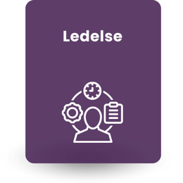 Ledelse (6)