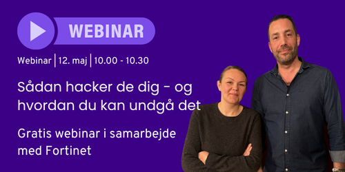 Webinar - hjemmeside (1)-1