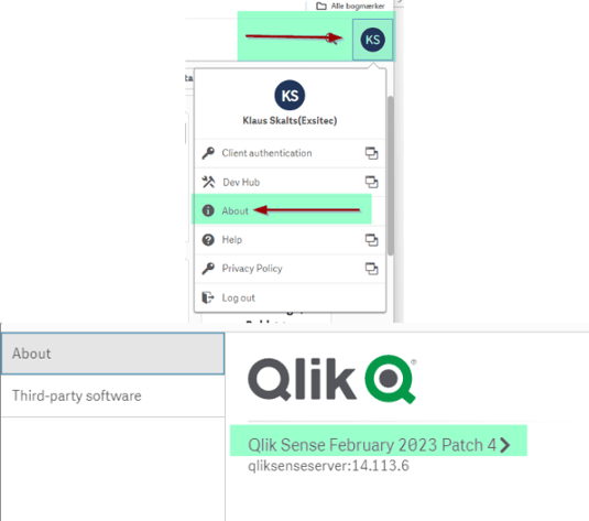 qlik-about