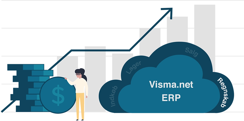 visma-net-regnskab